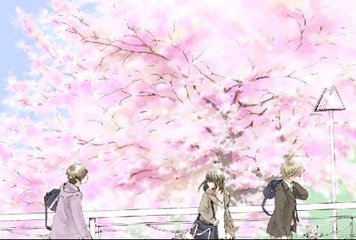 深入了解 暗网永久破解版